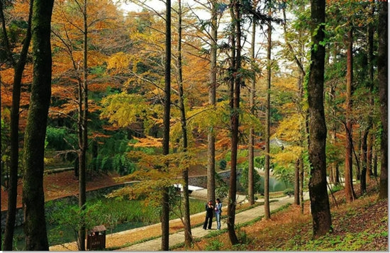 生态文旅建设